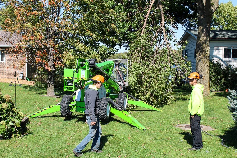Two men are standing in front of a green machine that is cutting a tree.