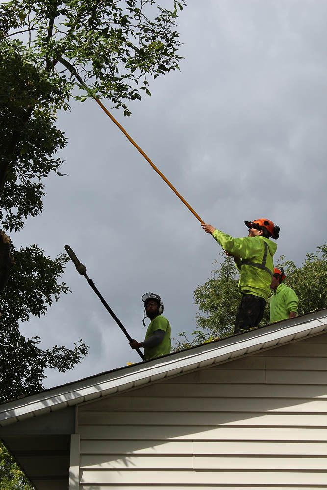 Two men are standing on the roof of a house cutting a tree.