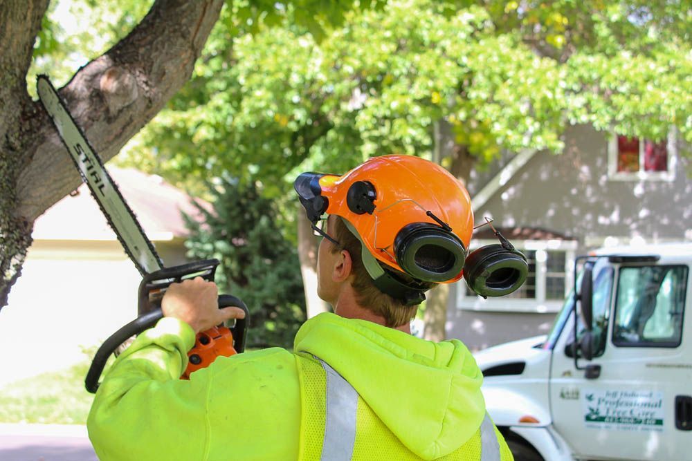 A man is cutting a tree with a chainsaw.