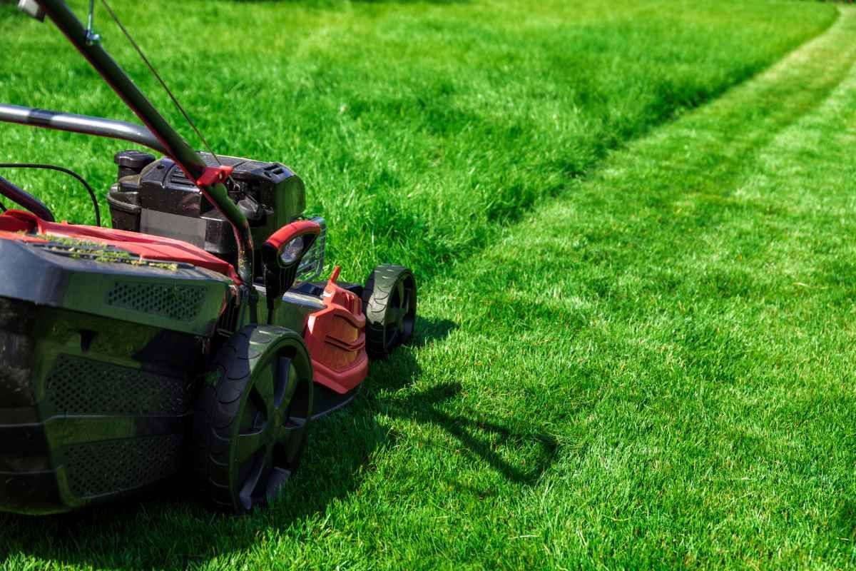 A lawn mower is cutting a lush green lawn.