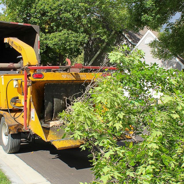 A tree chipper is parked on the side of the road