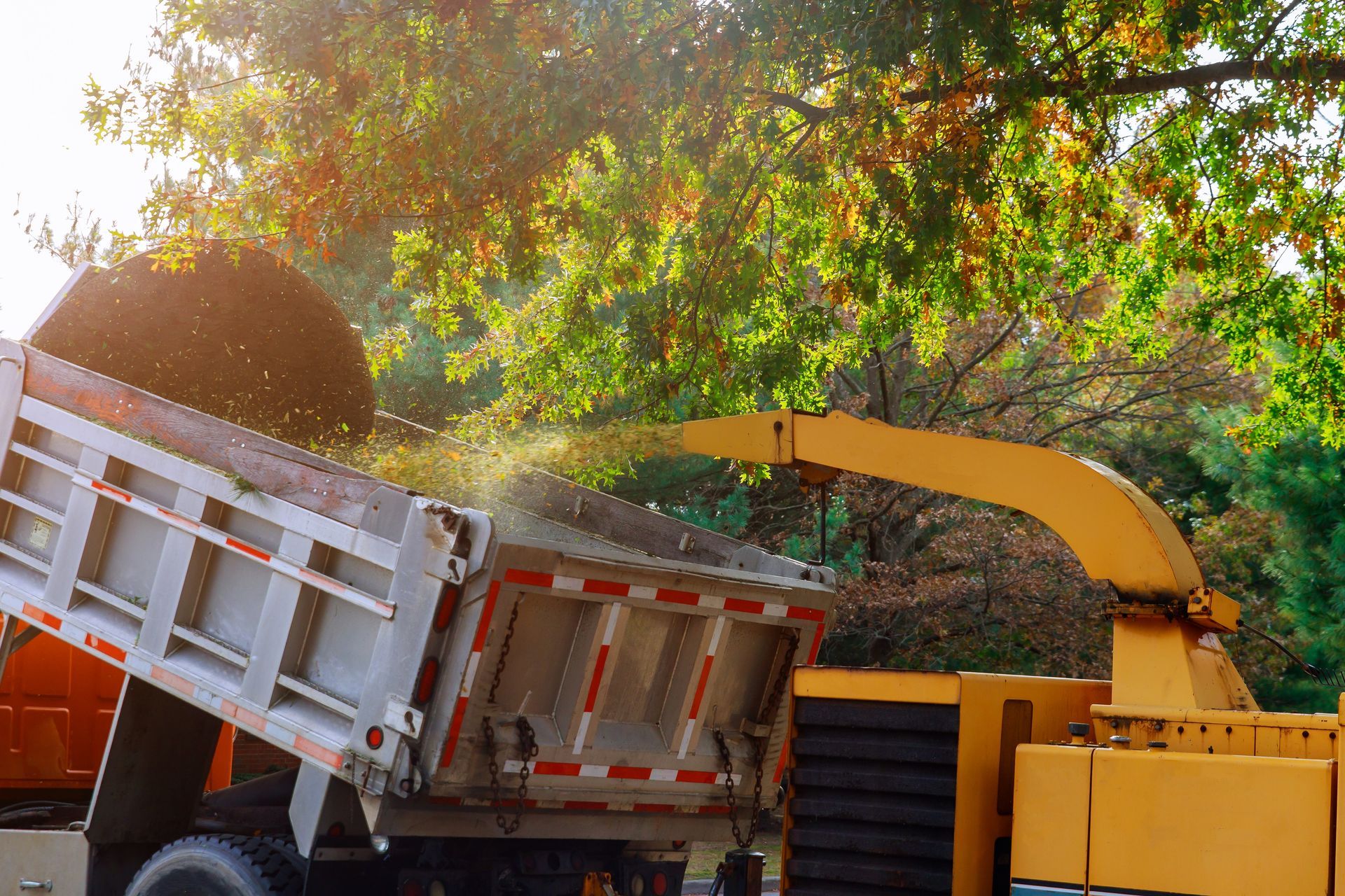 A dump truck is being loaded with wood chips from a tree chipper.