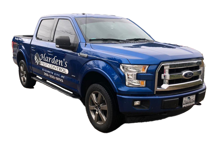A blue ford f150 truck is on a white background. A blue ford f150 truck is on a white background.