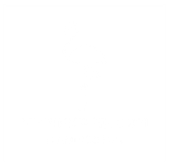 Flamingo flock rentals