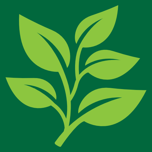 Digital Marketing Agency Exeter