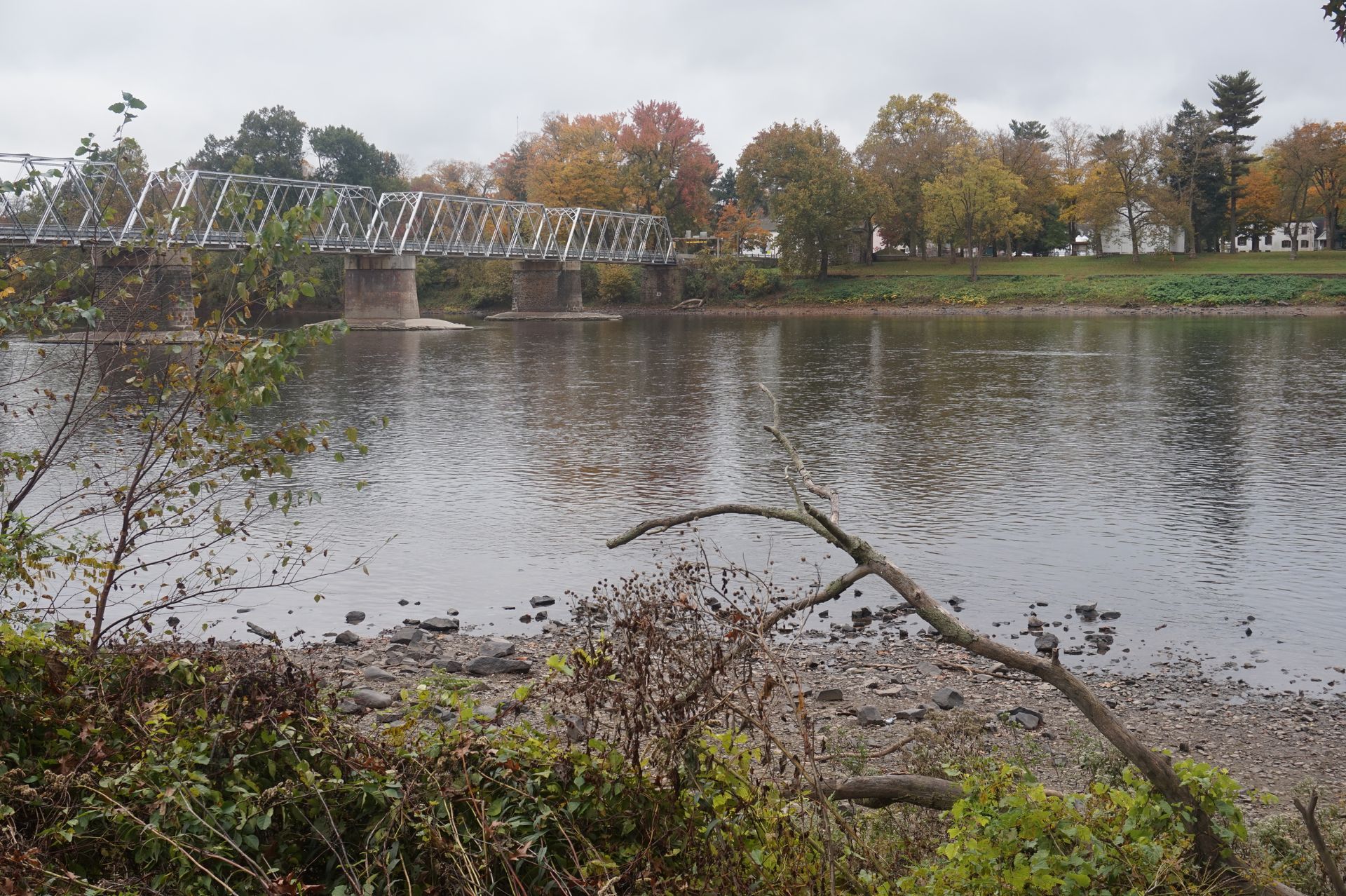 River with bridge and fall foliage. Overcast sky.
