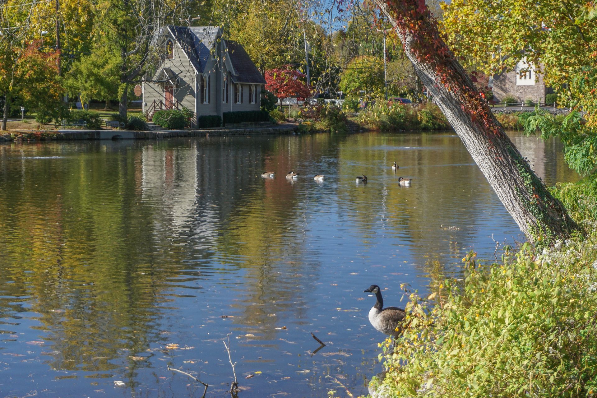 A serene pond reflects a small building, surrounded by fall foliage. A goose sits on the bank.