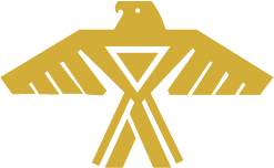 Golden eagle with spread wings, forming an X shape.
