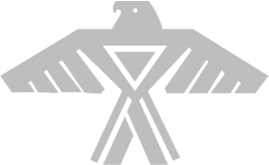 Gray stylized Thunderbird symbol.
