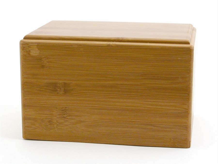Bamboo