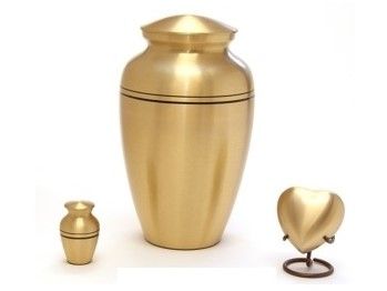 Spartan Amber (2)