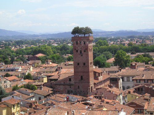La Torre Guinigi di Lucca Guida turistica di Lucca Stella Fabiano