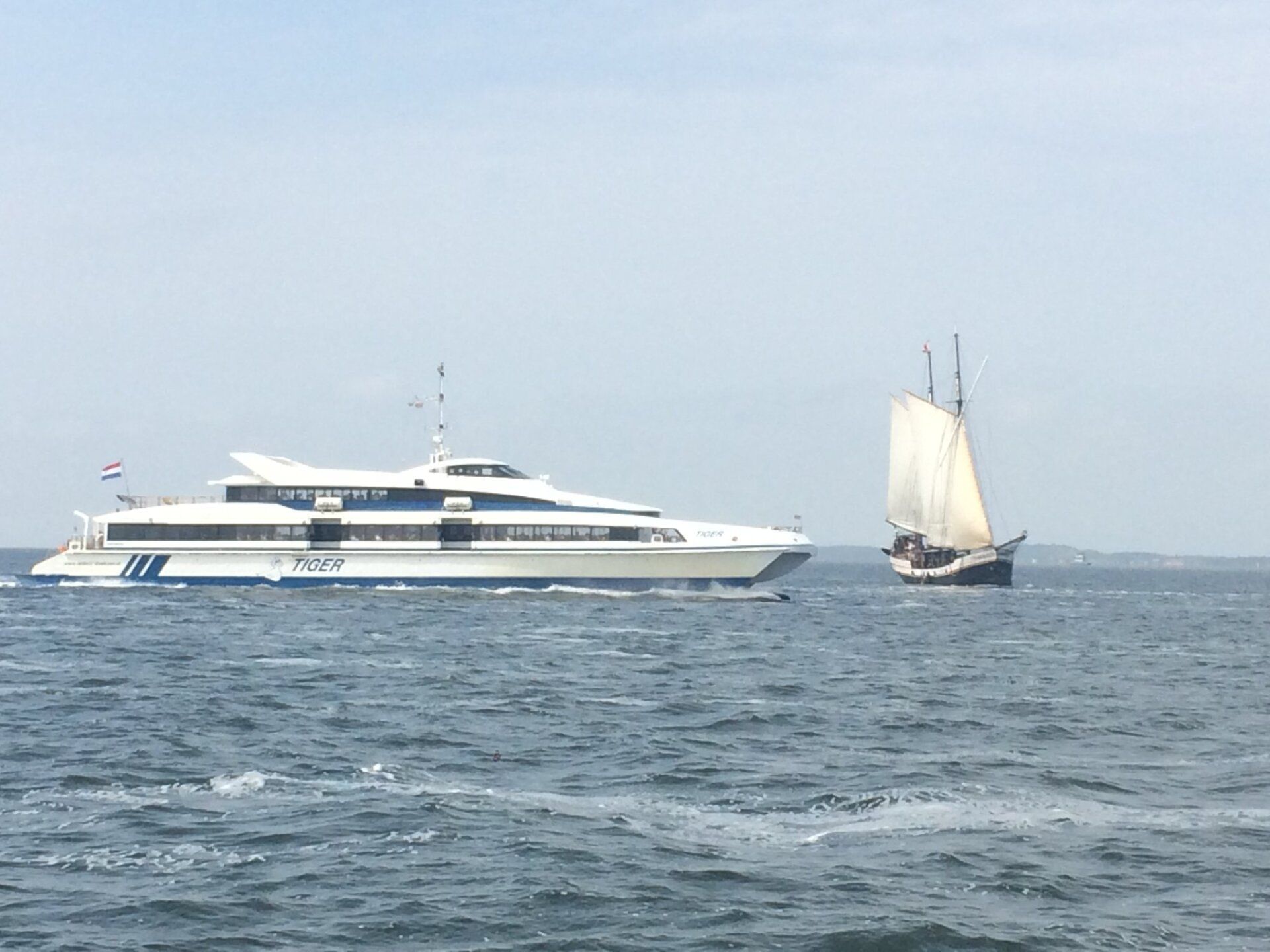 Eine große, weiße Fähre fährt neben einem kleinen, dunklen Segelboot auf dem Meer.