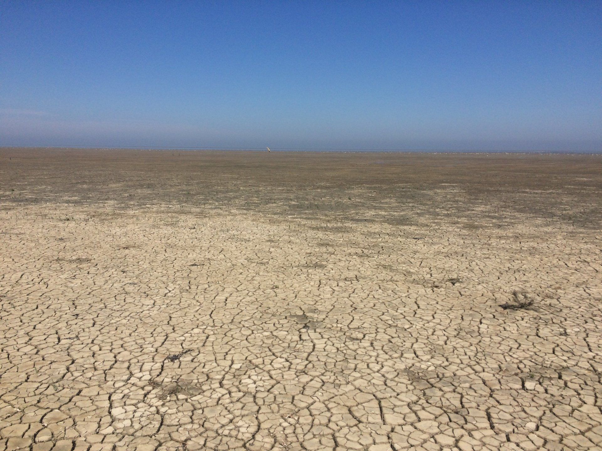 Trockene, rissige Erde unter einem klaren blauen Himmel, eine weite, karge Landschaft.