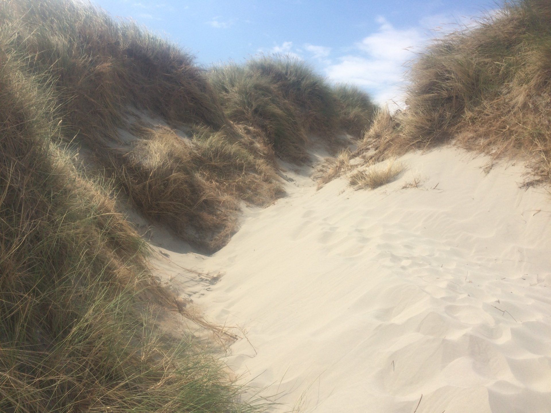 Sandiger Pfad, der sich durch Dünen schlängelt, mit trockenem Gras und blauem Himmel.