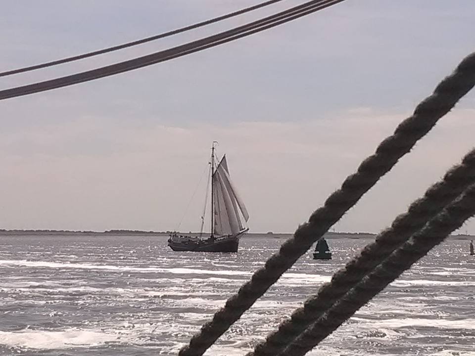 Segelboot auf dem Wasser, durch dicke Seile gesehen, an einem bewölkten Tag.