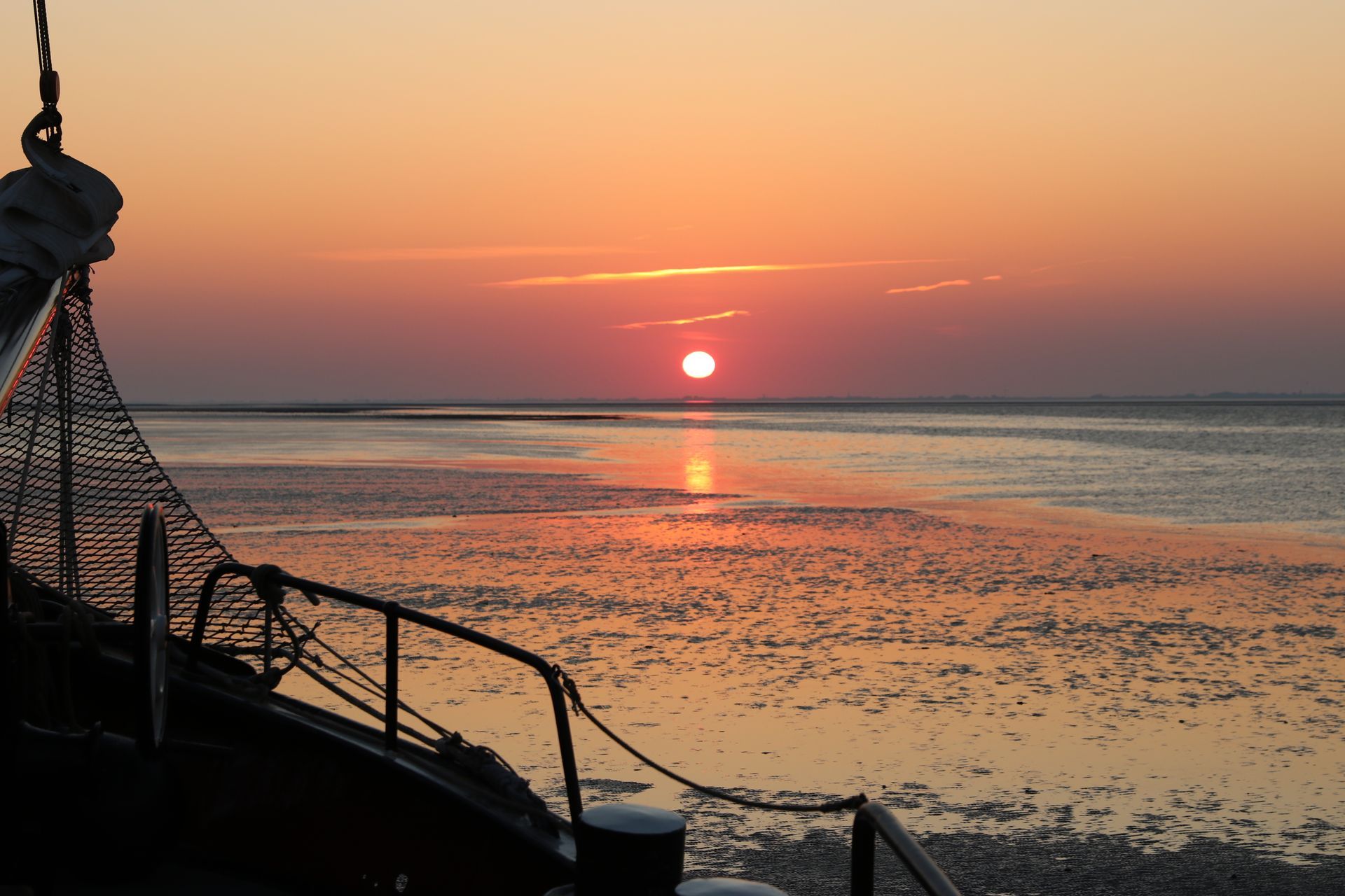 Droogvallen en wadlopen op de Waddenzee