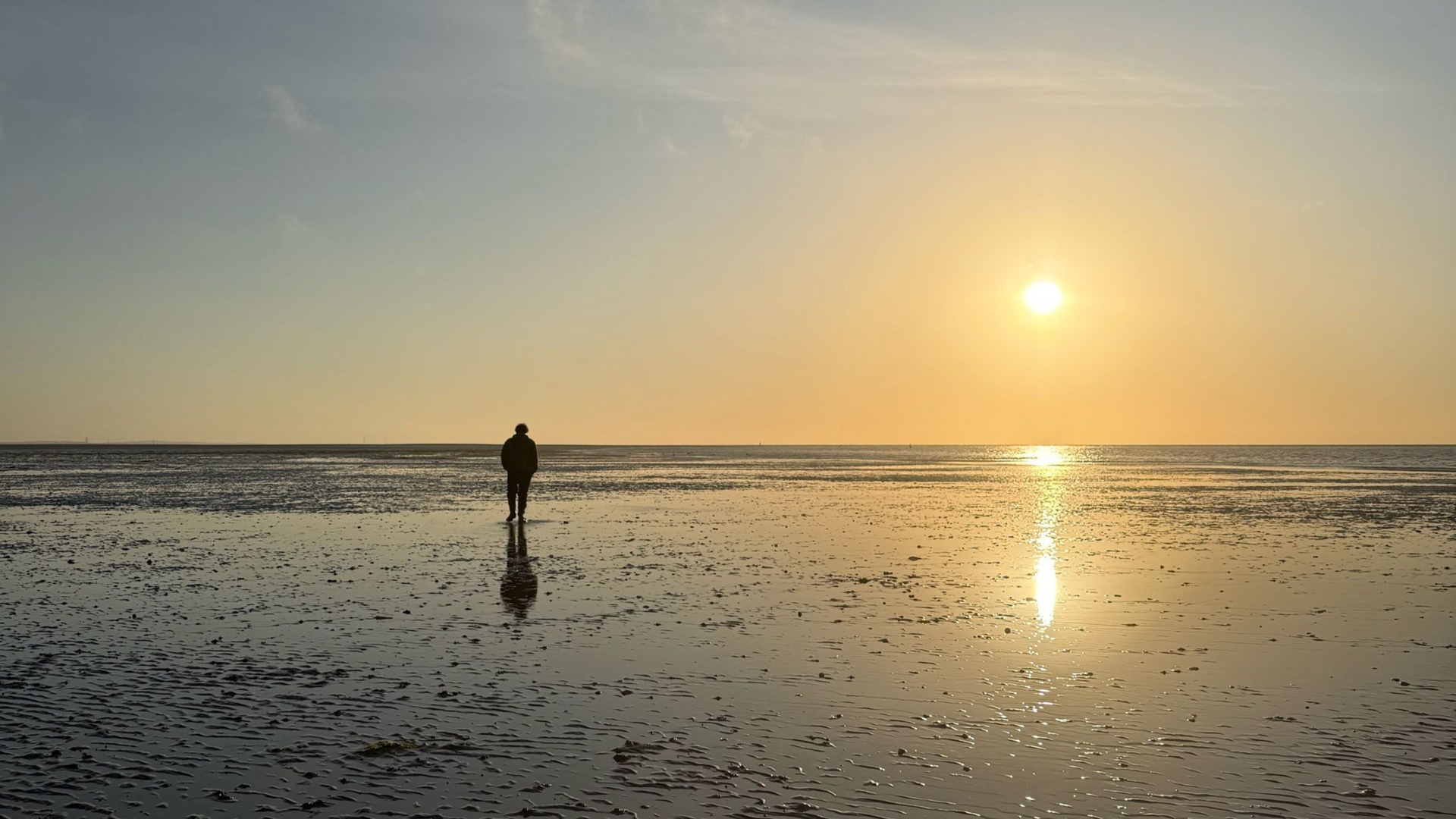 Eine Gruppe von Menschen watet an einem sonnigen Tag durch seichtes Wasser  wegend eine Wattwanderung.