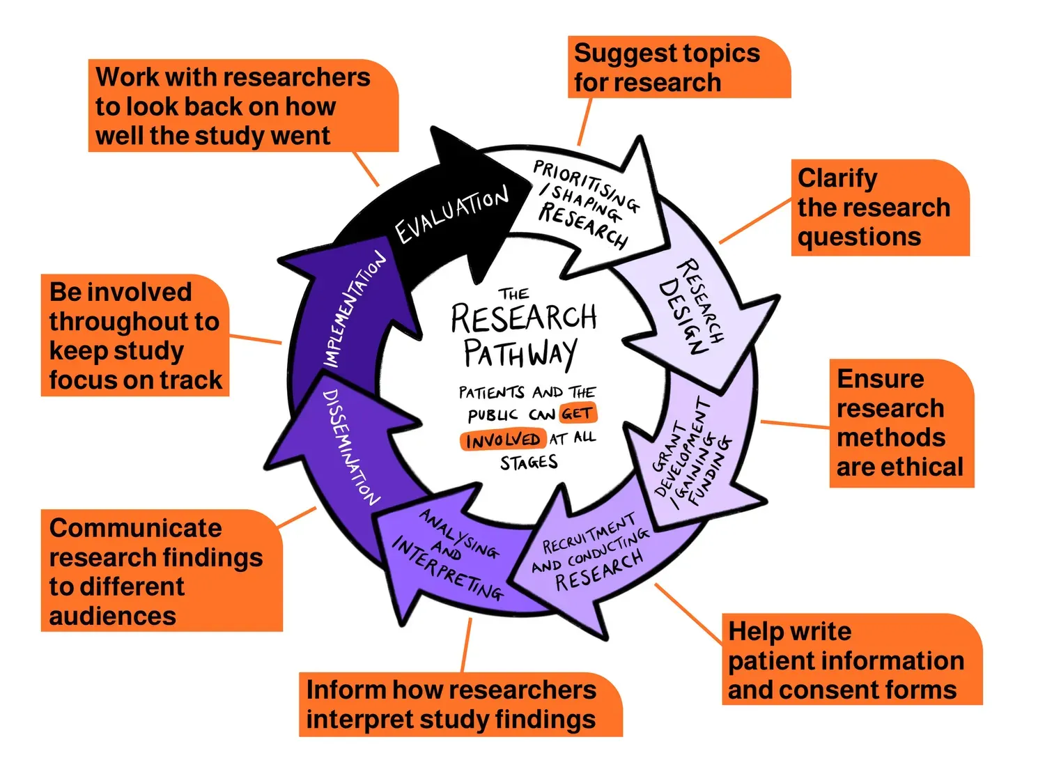Figure adapted by Public Involvement Front Door, from original figure by the University of Oxford Medical Sciences Division