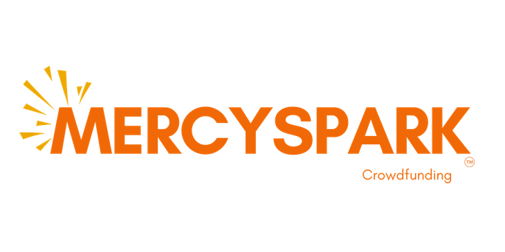 The mercyspark logo is orange and yellow a immigrant crowdfunding resource. 