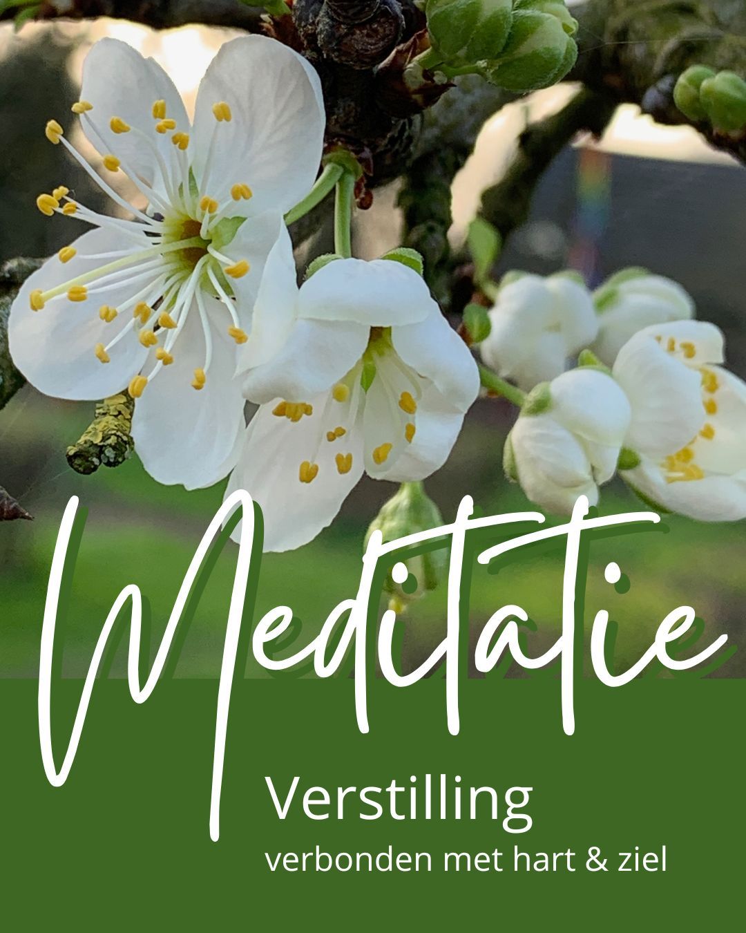 Peace starts within, soundhealing with Himalayan Singing Bowls