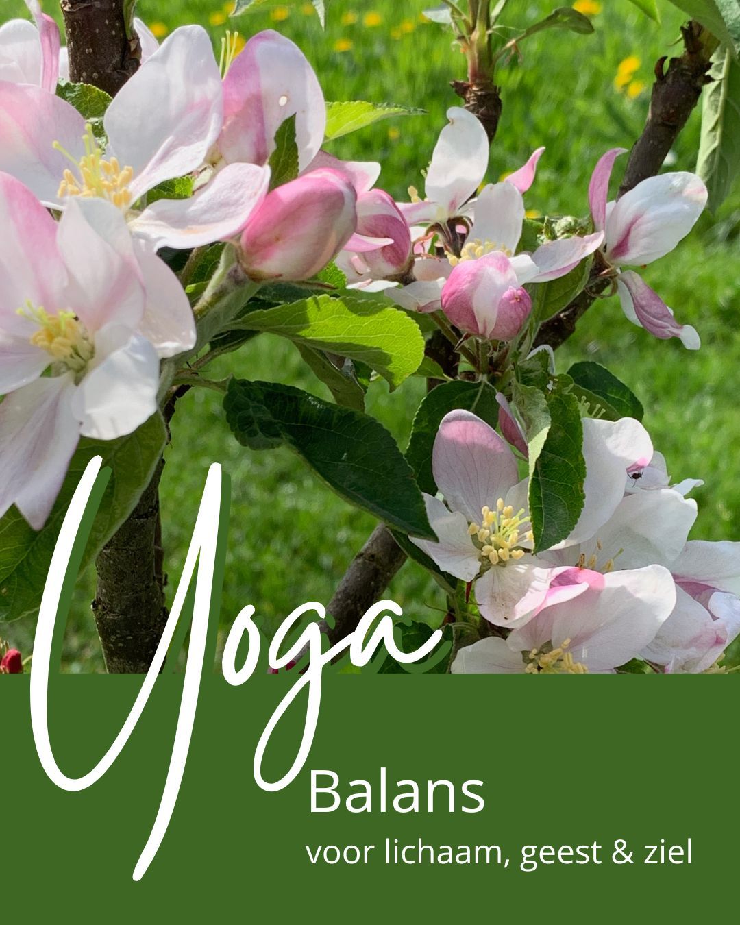 Peace starts within, soundhealing with Himalayan Singing Bowls