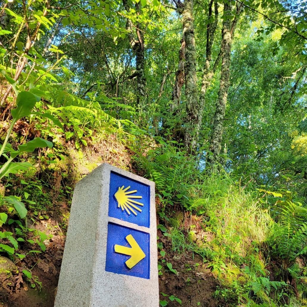 Camino Interior, Camino Santiago de Compostella
