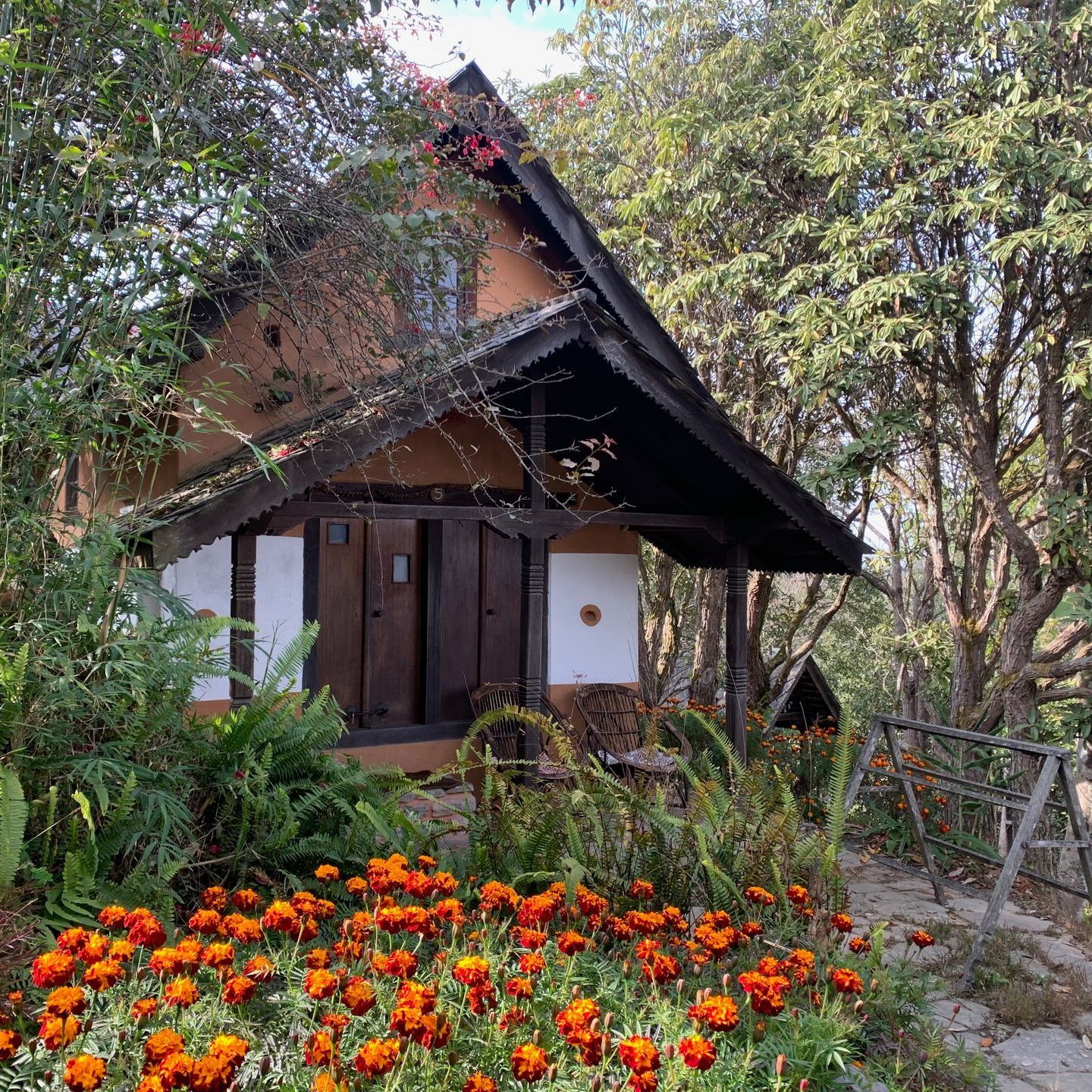 Nepal, Peaceful holidays & stays