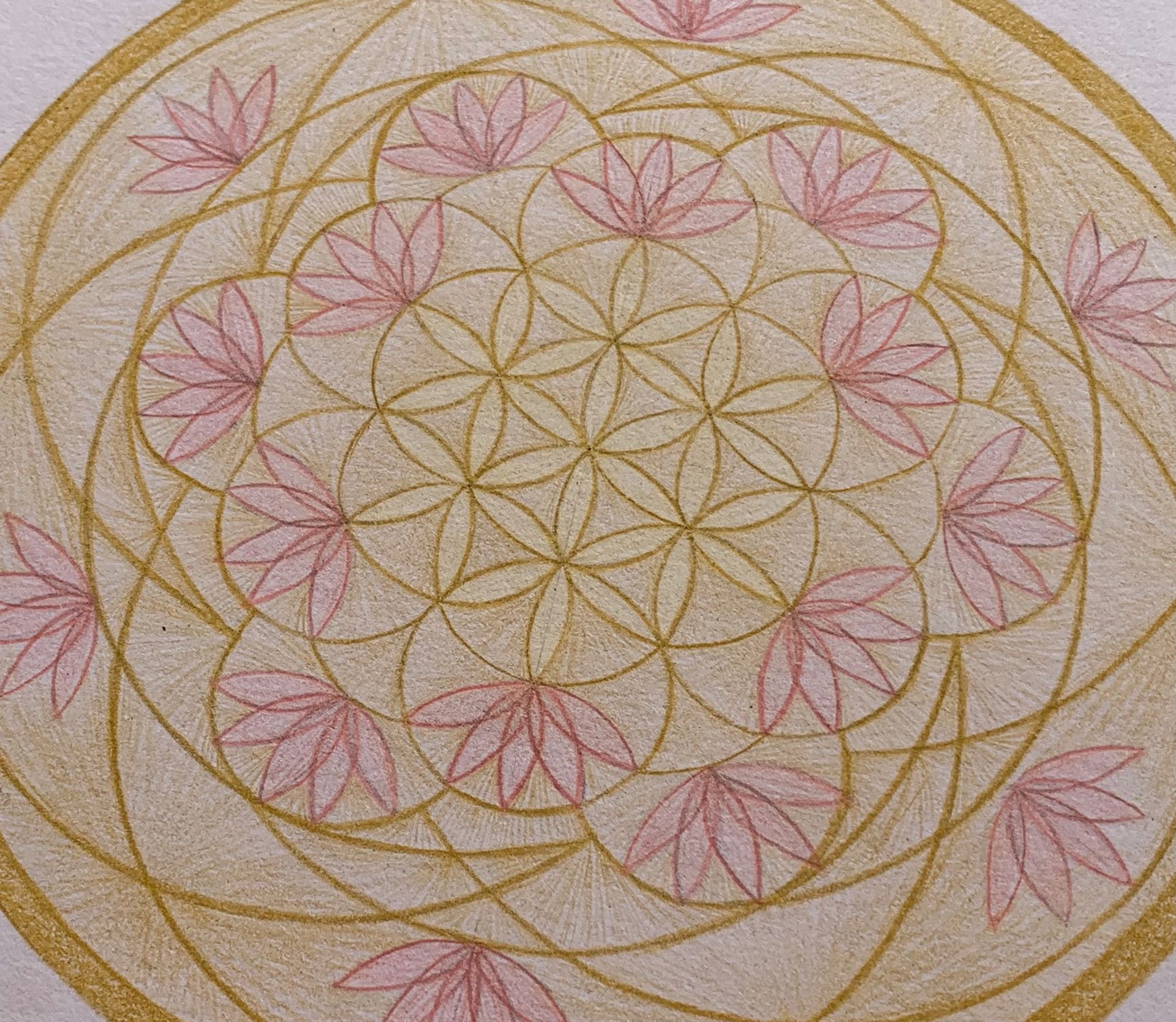 Mandala Art, Sacred geometry, Seed of life