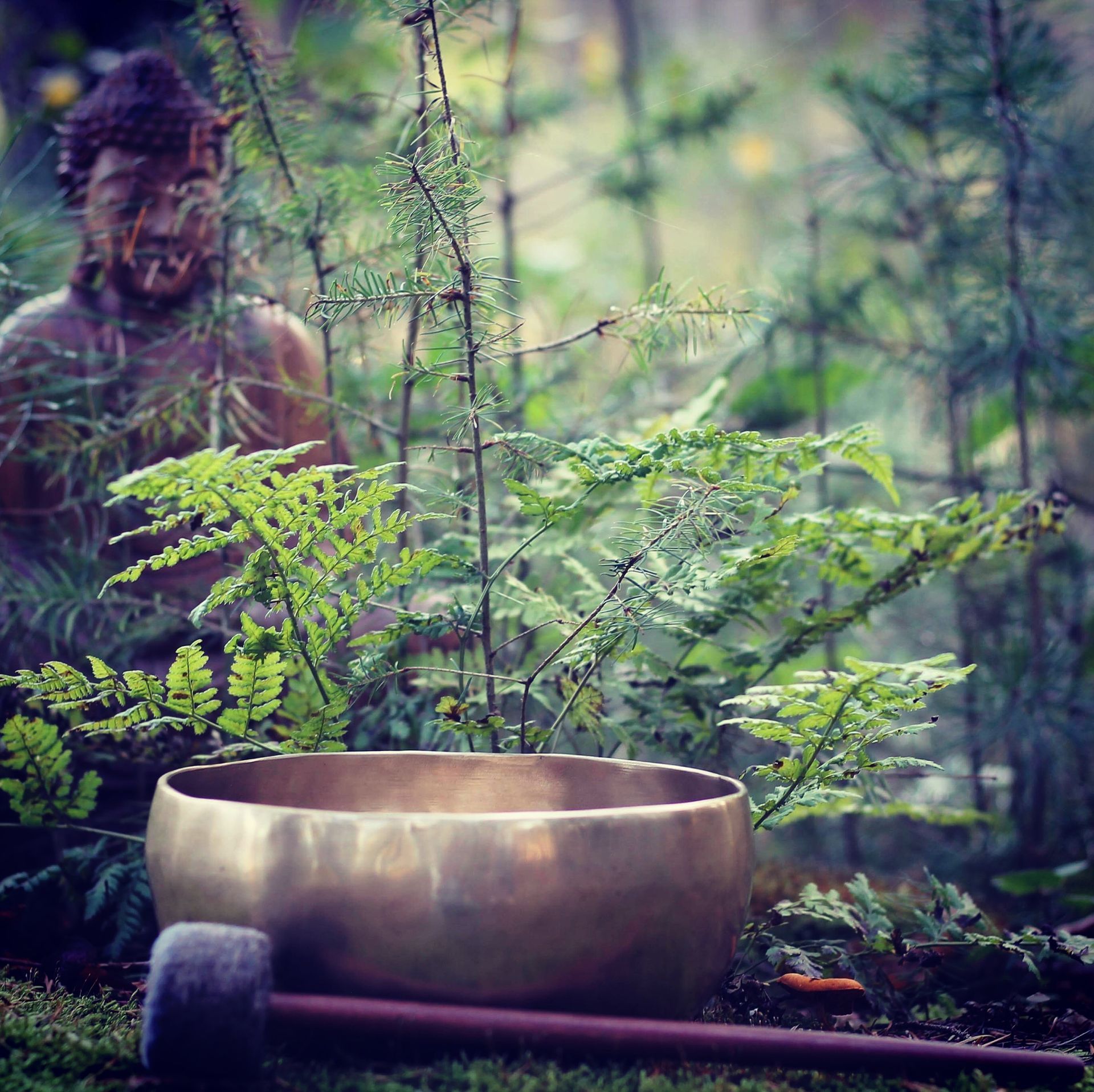 Soundhealing Himalayan Singing Bowls