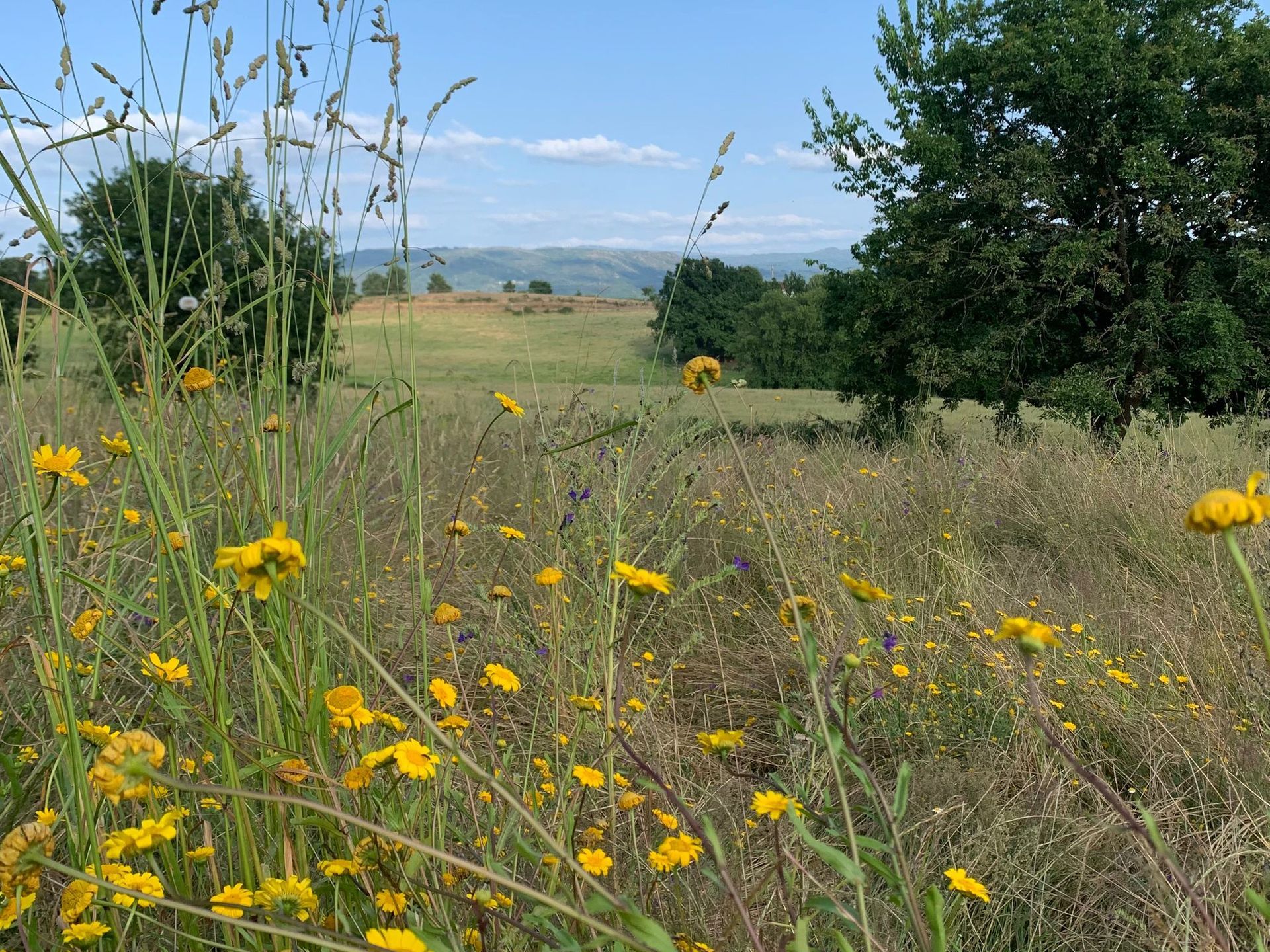 Retreat Spain, Casa Manuela, connecting with nature.