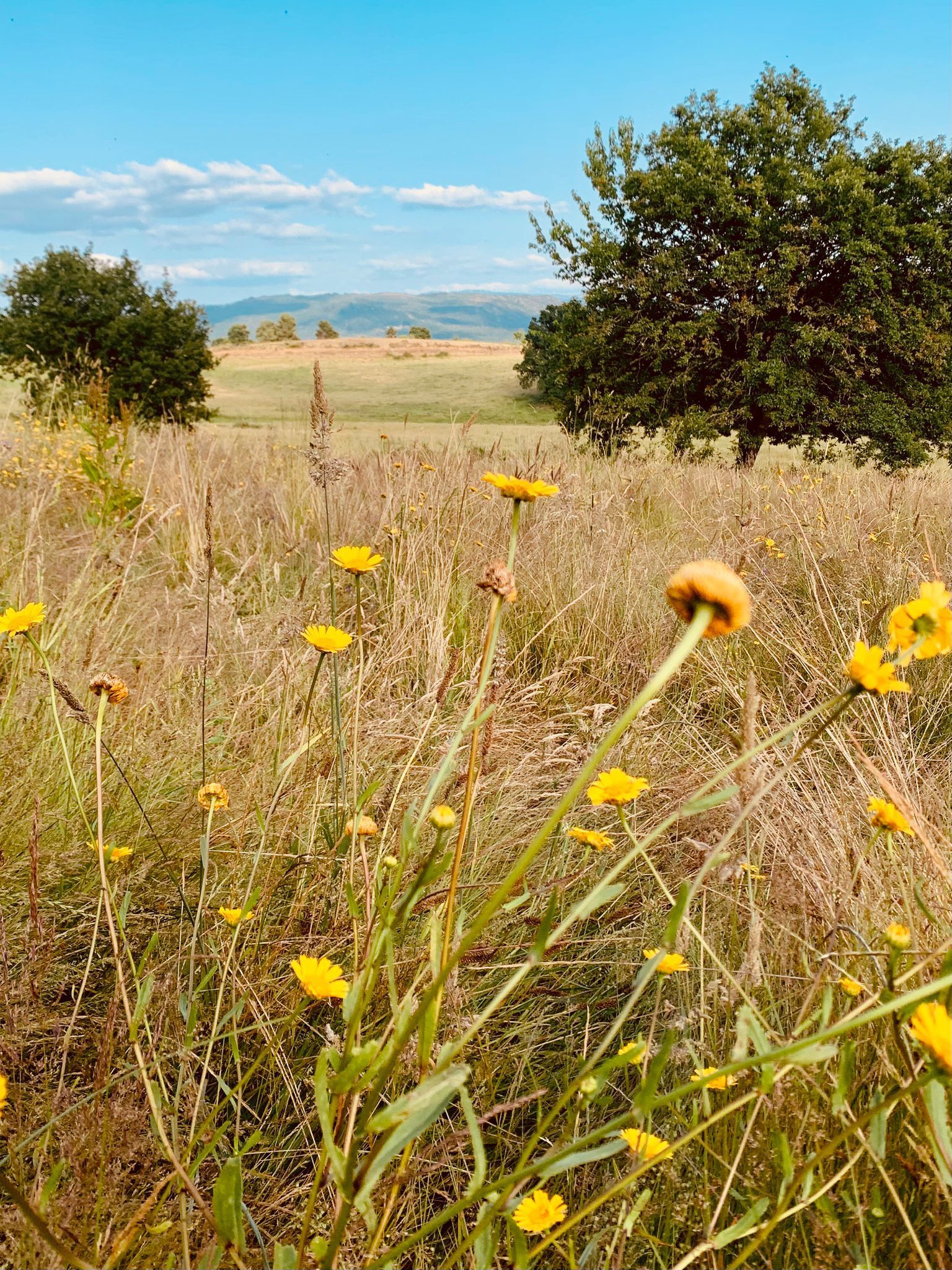 Retreat Spain, Casa Manuela, Connecting with nature