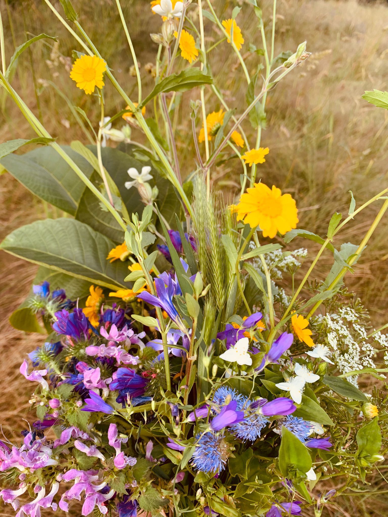 Retreat Spain, Casa Manuela, flowers