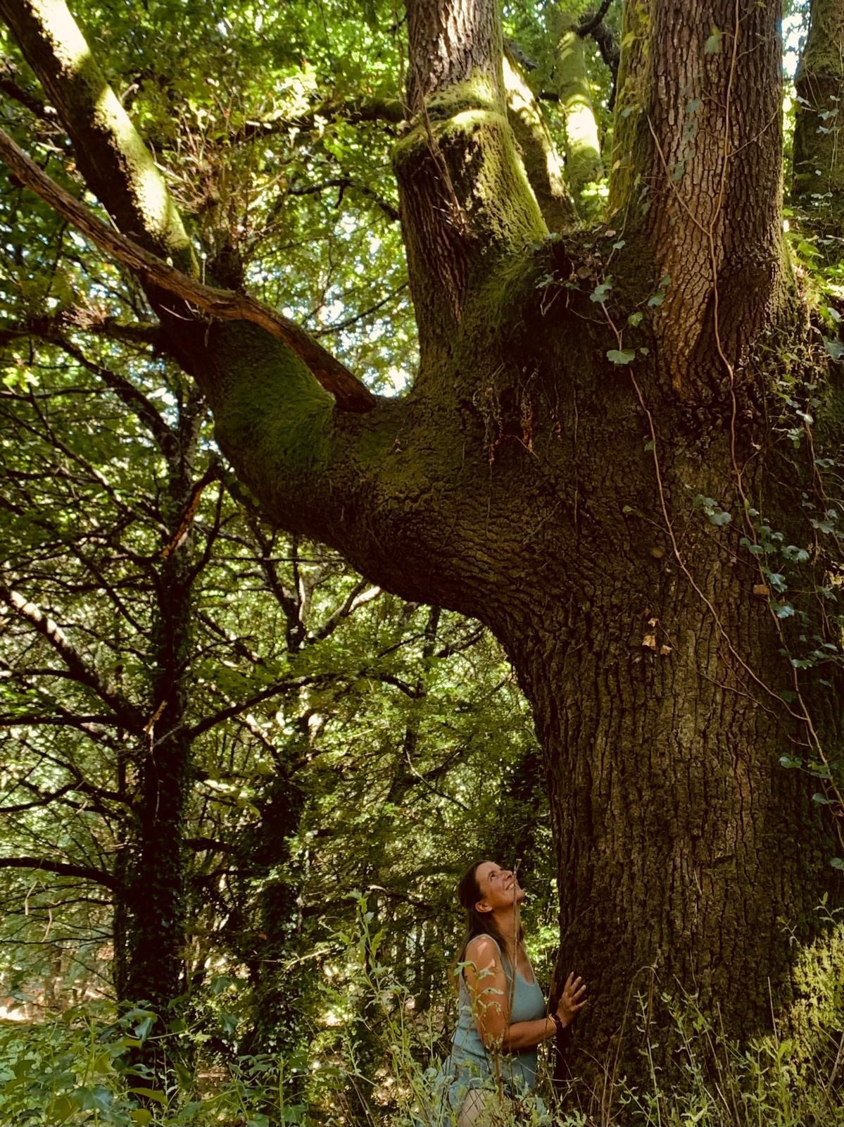 Retreat Spain, Casa Manuela, connecting with nature, forst bathing