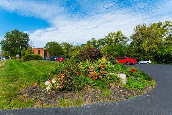 Parking lot and landscaping