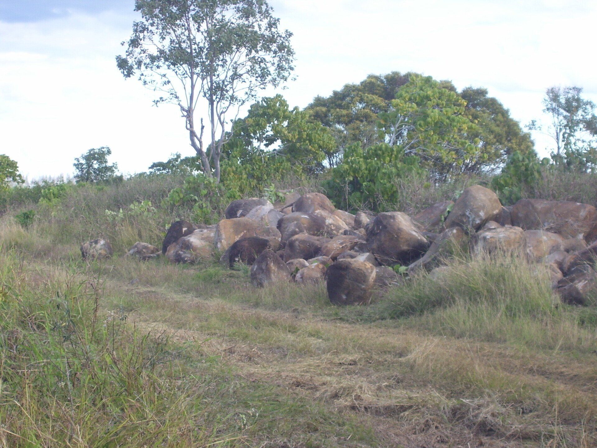 Large Rock on The Field — A1 Rock This City Truck & Dog Hire In Good Night QLD