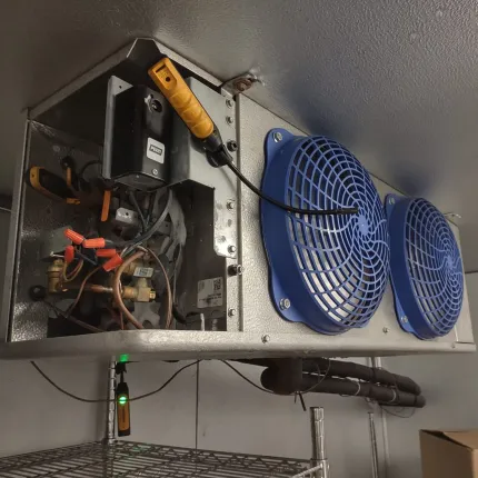 Two blue fans are hanging from the ceiling of a refrigerator