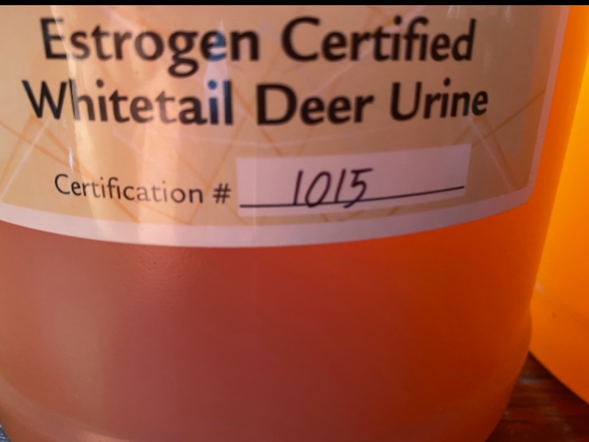 Deer Urine