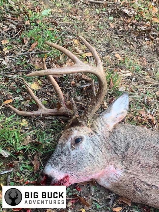 Hunter displaying a successful buck with antlers on full display