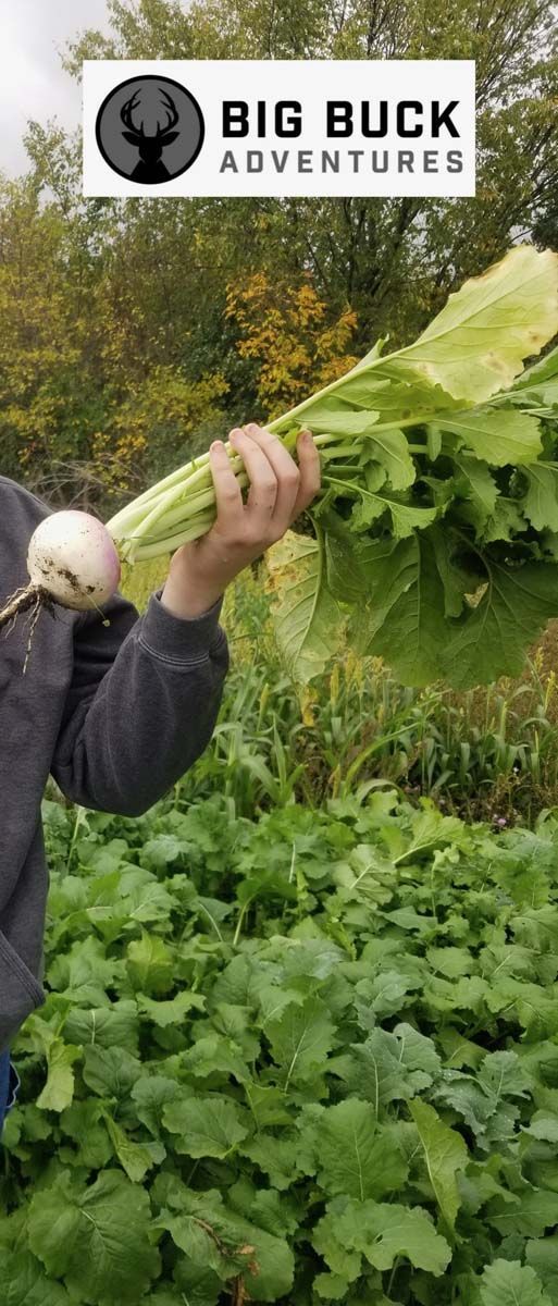 A person is holding a large bunch of green leaves in a field.