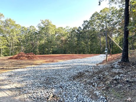 Professional land clearing