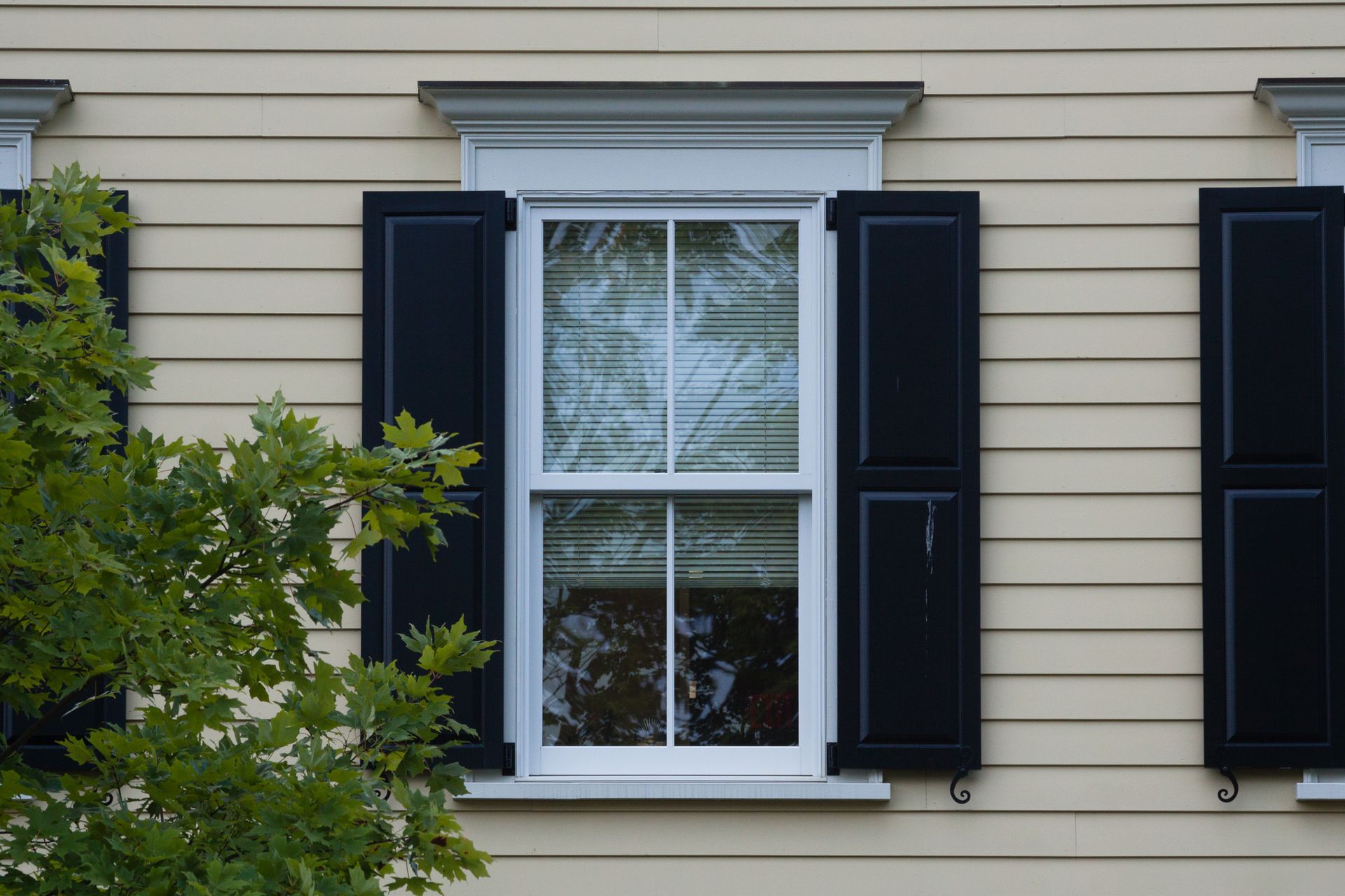 Window with black shutters and white trim on a yellow clapboard house; oak tree in the foreground.