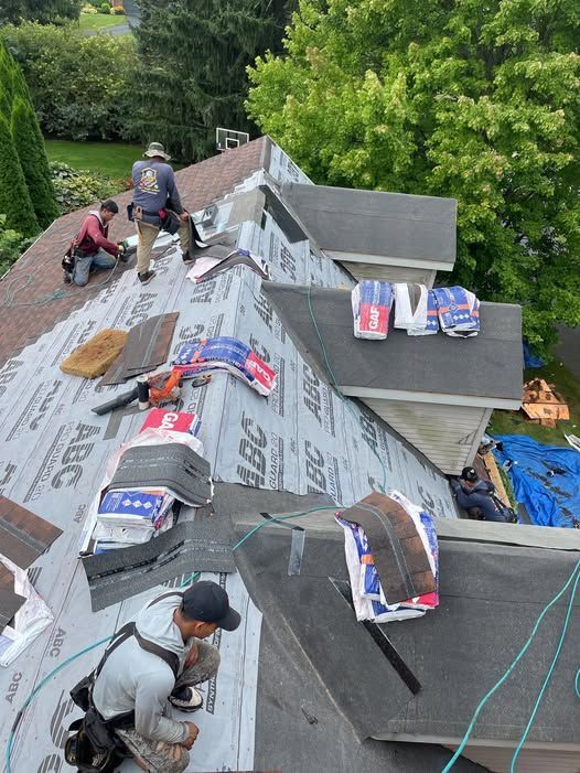 Two workers install solar panels on a residential roof under a partly cloudy sky. Green foliage frames the scene.