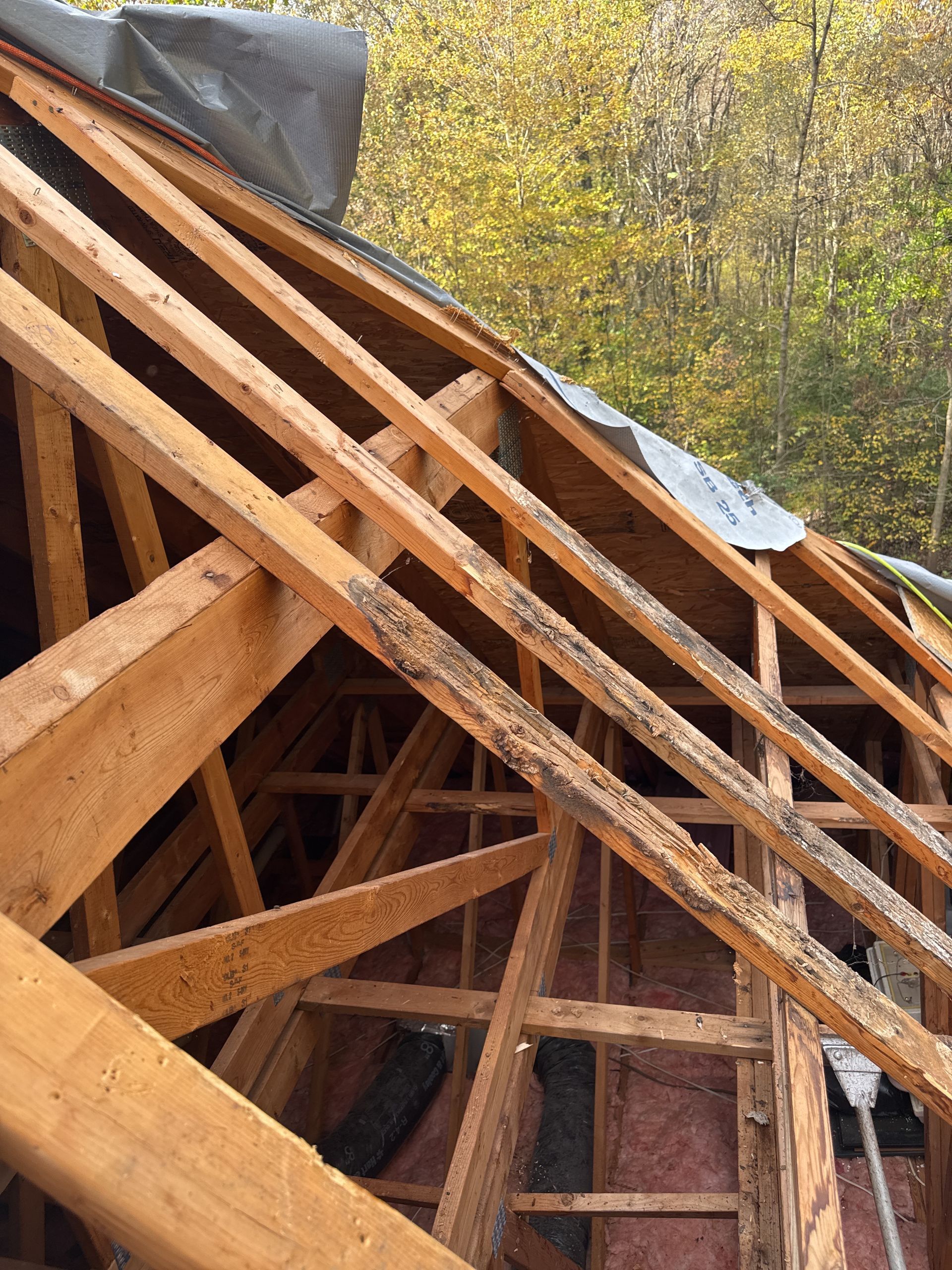 Wooden roof rafters under construction, partially covered with black roofing material.