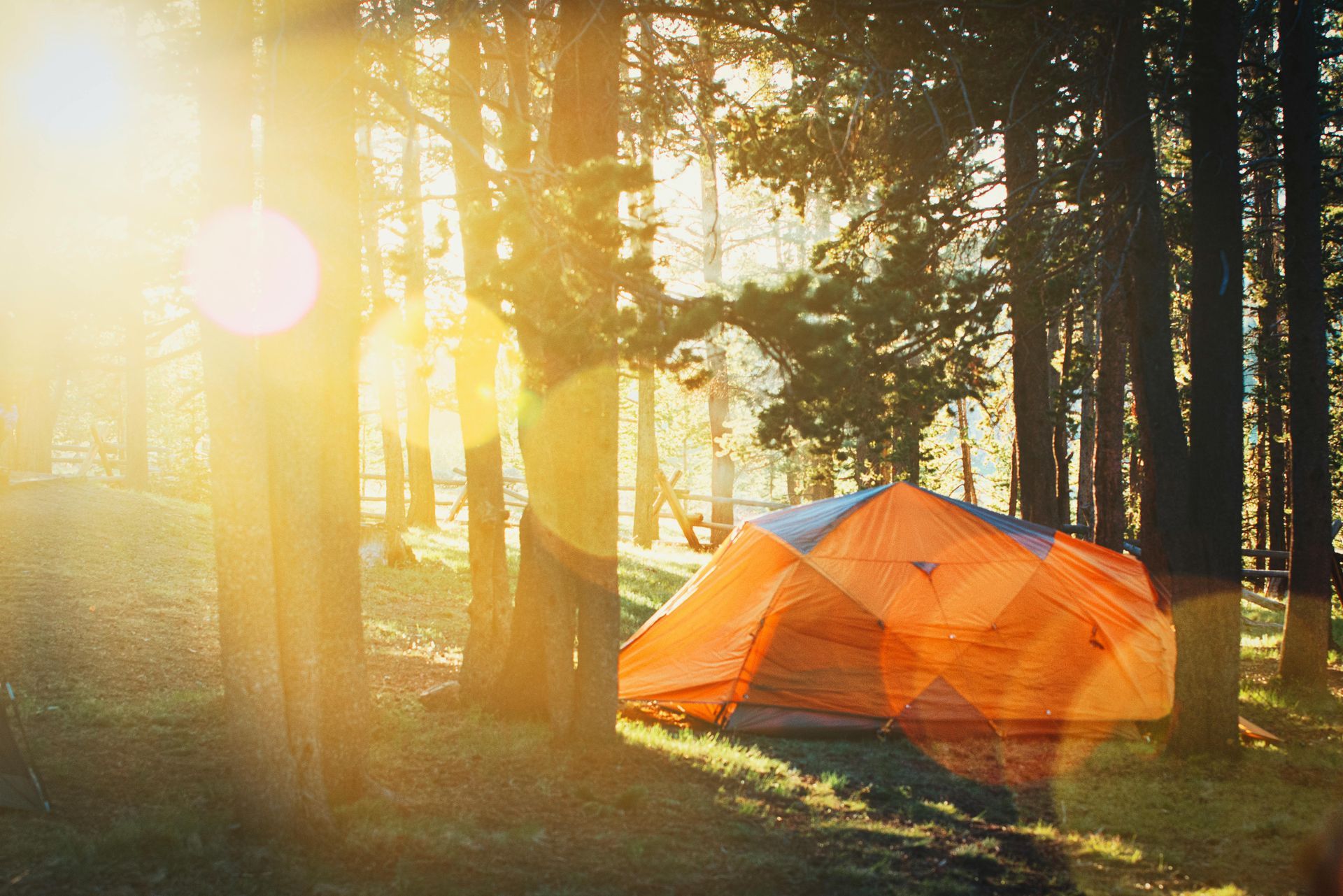 A tent is sitting in the middle of a forest with the sun shining through the trees.