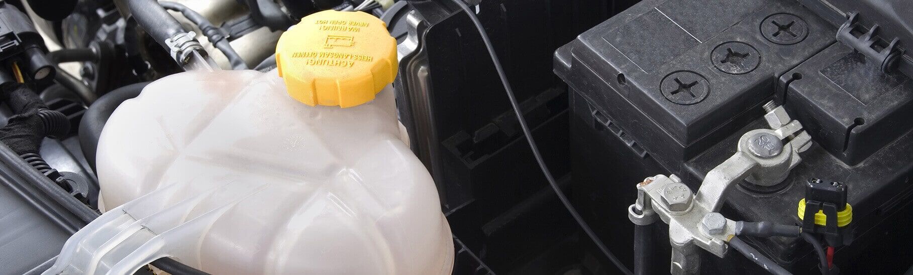A Close Up of Coolant in a Car Engine — Mechanical Repairs In Gympie, QLD