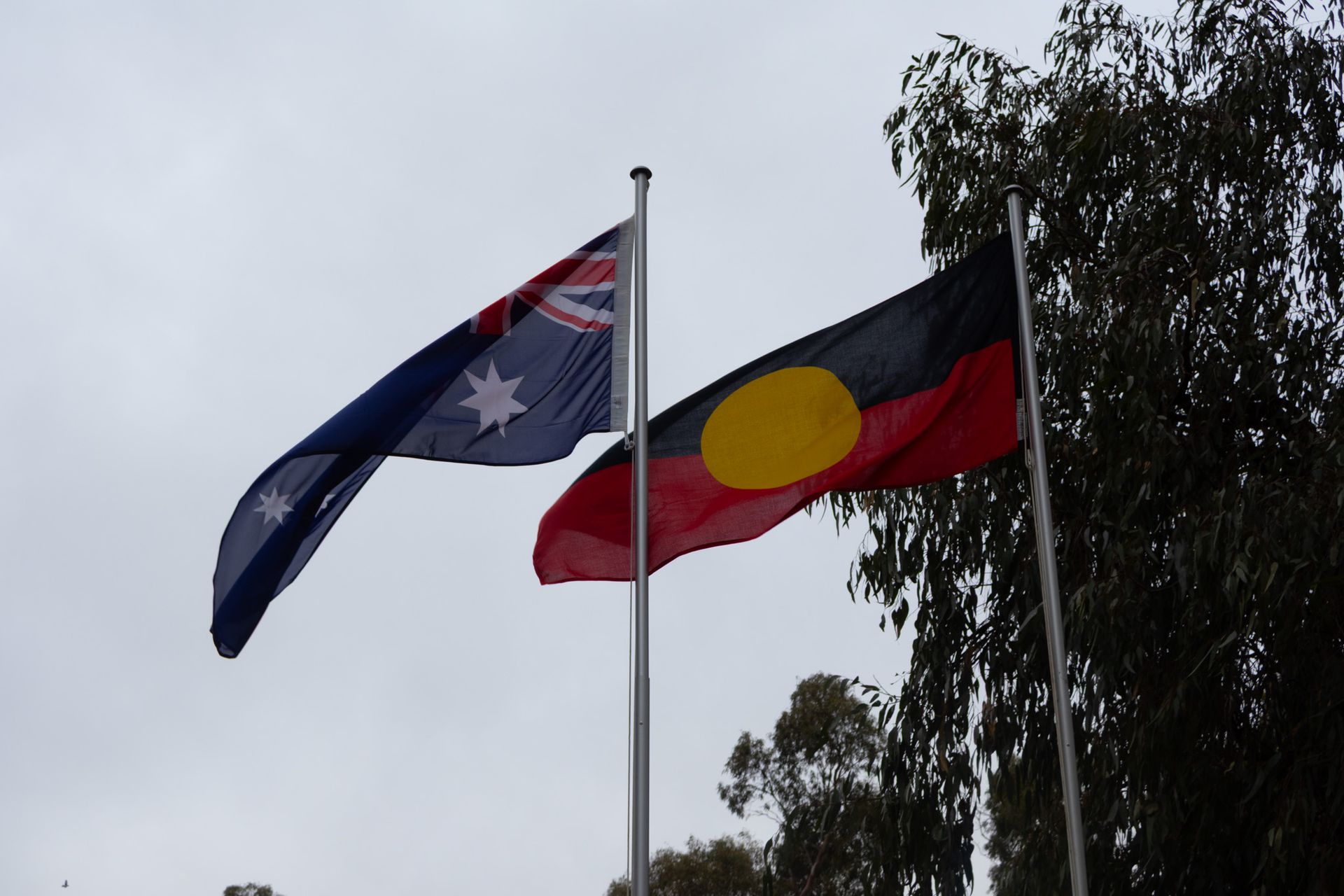 Australian flag and Aboriginal flag flying on poles against a cloudy sky, with tree branches in the background.