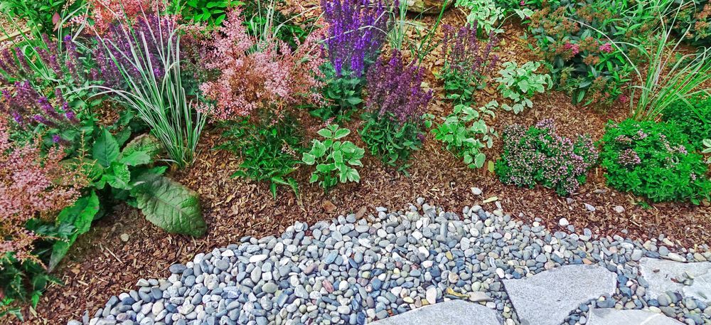 Colourful Garden Bed With Diverse Plants, Wood Mulch, and a Stone Path — Laurieton Landscape Supplies In Laurieton, NSW