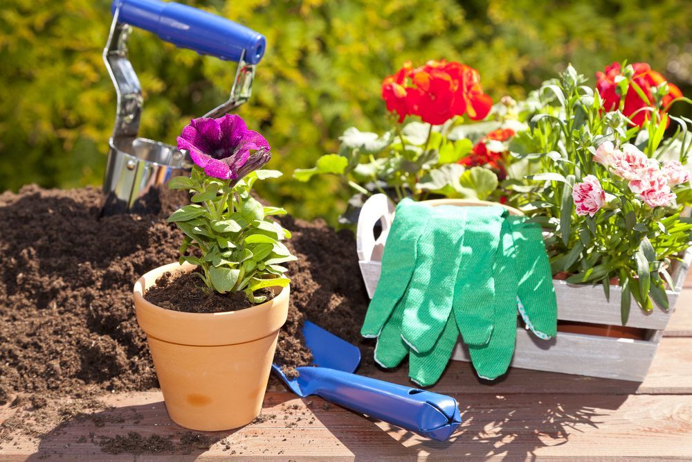 Gardening Tools, Potted Flower  — Laurieton Landscape Supplies In Kew, NSW