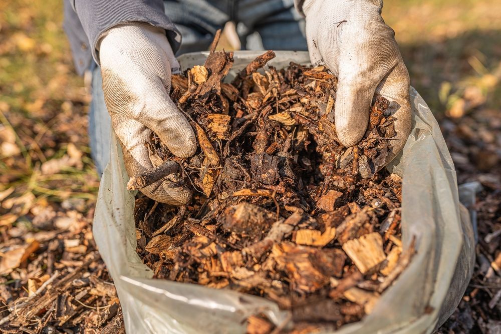 Hands in Gloves Holding a Clear Bag Filled With Wood Chips  — Laurieton Landscape Supplies In Kew, NSW